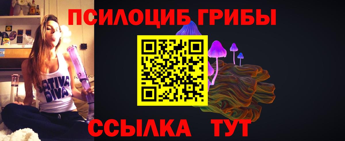 Ухта  Псилоцибиновые грибы Cubensis  Вход с VPN 